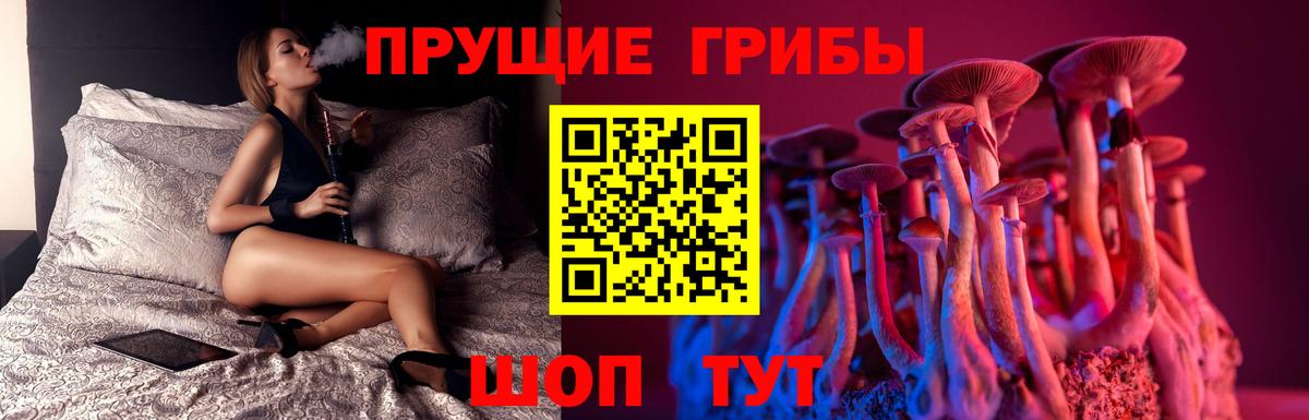 Галлюциногенные грибы прущие грибы  Псилоцибиновые грибы Cubensis  Татарск  Вход с VPN 